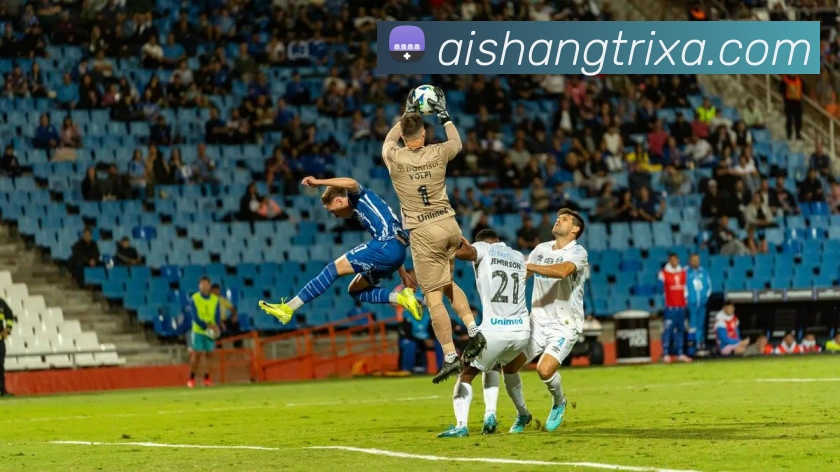 爱尚体育平台生态图